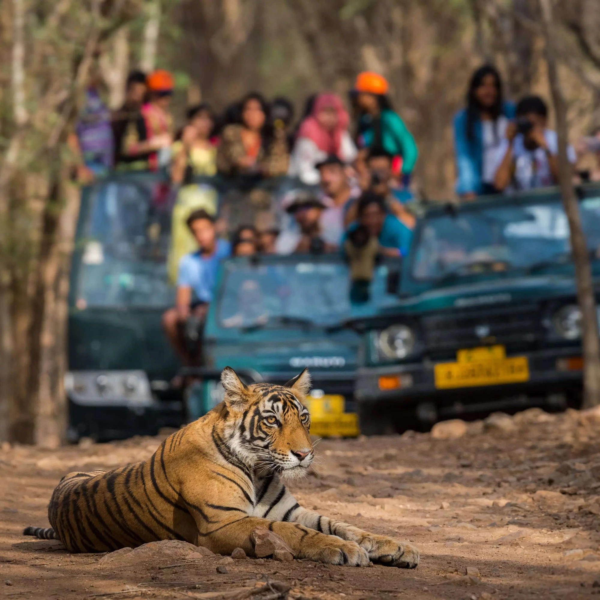 Luxury Golden Triangle with Ranthambore & Udaipur